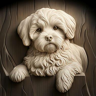 3D model Bichon frise dog (STL)